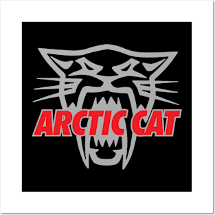 ARCTIC CATT SNOWMOBILE Posters and Art